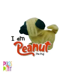 Pugs At Play Peanut Walking Dog
