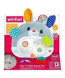 Winfun - Day 'N Night Bunny Pal