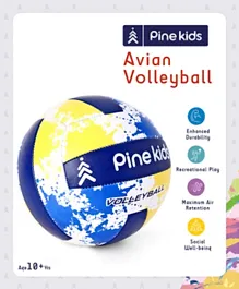 Pine Kids - Blue & Yellow Volleyball - Size 5