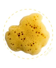 Babu Fine Silk Sea Sponge 100% Natural - Size 18
