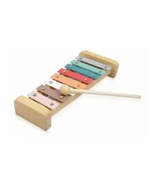 Sassi Play & Learn with the Xylophone Musical Toy