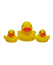 Vital Baby Squirt & Splash Ducks & Frogs Bath Toys Assorted - 3 Pieces