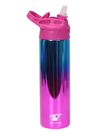 Tinywheel Water Bottle - 530ml - Pink Reflective Stainless Steel