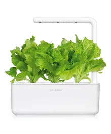 Click & Grow - Seeds Green Lettuce