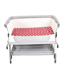 Amla Care Porto Baby Bedside Crib With Storage - Grey
