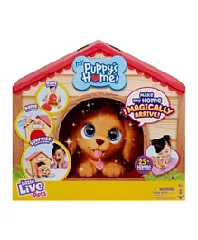 Little Live Pets -  Flat Pk Puppy - Blonde/Brown