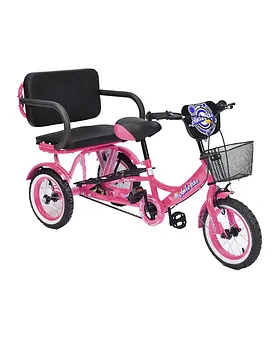 Buy Baby and Kids Tricycles Online in KSA at FirstCry.sa