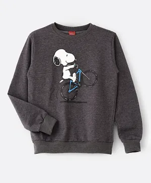 Warner Bros - Peanuts Snoopy Sweatshirt - Charcoal