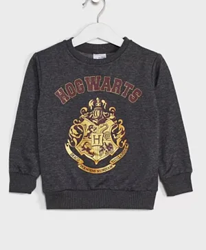 Warner Bros Hogwarts Sweatshirt - Charcoal