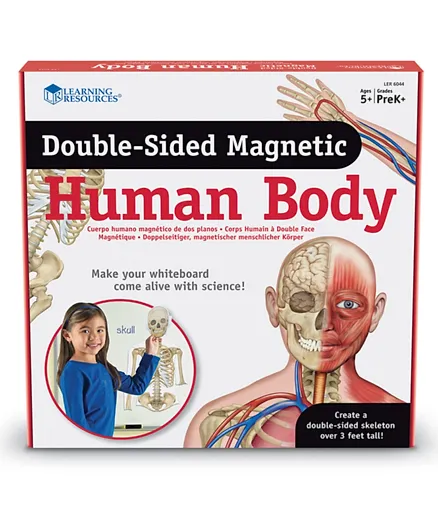 Learning Resources Double-Sided Magnetic Human Body - 17 Pieces