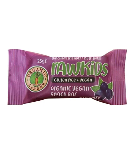 Organic Larder - Rawkids Snack Bar Blueberry Quinoa - 25g