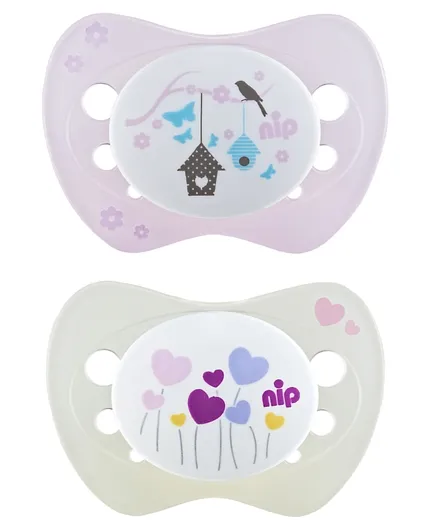 Nip Life Soother Silicone Birdhouse & Heartflower- Blue and Green