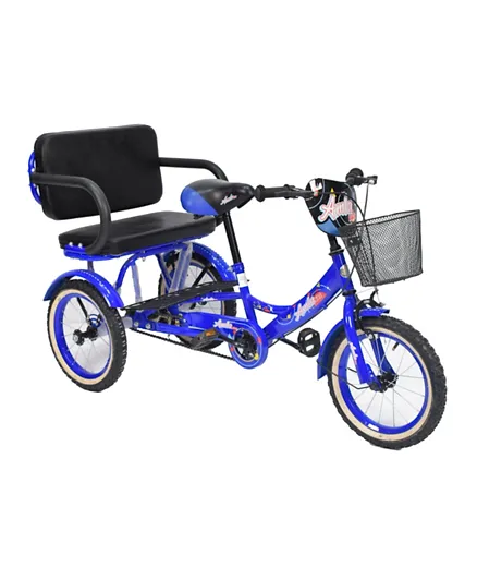 Amla Care Tricycle - Blue