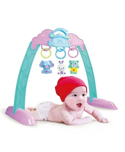 Babylove Play Gym Multi Color