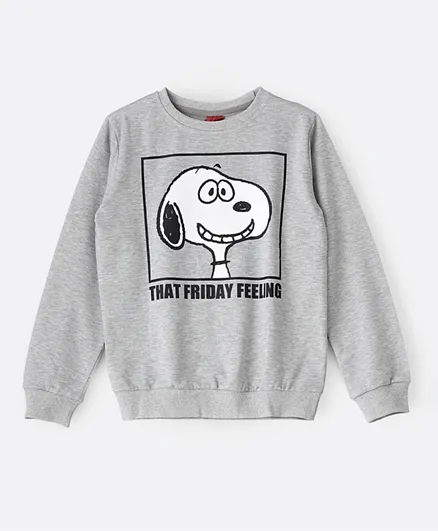 Peanuts Snoopy Sweatshirt-grey