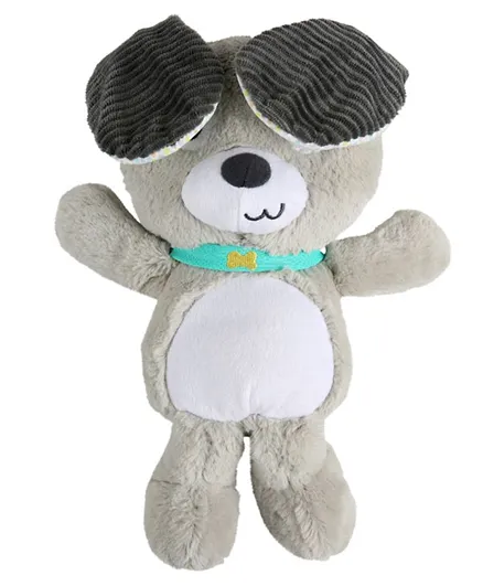 Bright Starts Belly Laughs Puppy Plush Toy for Babies 3m+, Grey - Musical Play Peek-a-Boo with Giggle Sounds