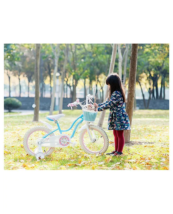 Royalbaby stargirl bike 14 online